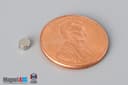 1/8" dia. x 1/16" N45 Neodymium Disc Magnet - photo 1