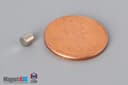 1/8" dia. x 1/8" N40 Neodymium Cylinder Magnet - photo 1