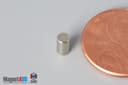 1/8" dia. x 1/4" N45 Neodymium Cylinder Magnet - photo 3