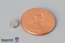 3/16" dia. x 1/16" N52 Neodymium Disc Magnet - photo 1