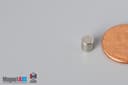 3/16" dia. x 3/16" N40 Neodymium Cylinder Magnet - photo 3
