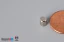 3/16" dia. x 1/4" N40 Neodymium Cylinder Magnet - photo 3