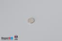 1/4" dia. x 1/32" N40 Neodymium Disc Magnet - photo 2