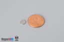 1/4" dia. x 1/32" N40 Neodymium Disc Magnet - photo 1