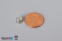 1/4" dia. x 3/16" N52 Neodymium Disc Magnet - photo 1