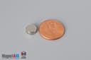 5/16" dia. x 1/8" N52 Neodymium Disc Magnet - photo 1