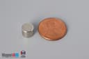 5/16" dia. x 1/4" N52 Neodymium Disc Magnet - photo 1