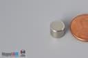 5/16" dia. x 1/4" N52 Neodymium Disc Magnet - photo 3
