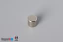 5/16" dia. x 5/16" N40 Neodymium Cylinder Magnet - photo 2