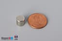 5/16" dia. x 5/16" N40 Neodymium Cylinder Magnet - photo 1