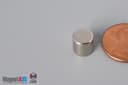 5/16" dia. x 5/16" N40 Neodymium Cylinder Magnet - photo 3