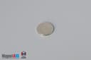 3/8" dia. x 1/32" N52 Neodymium Disc Magnet - photo 2