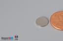 3/8" dia. x 1/32" N52 Neodymium Disc Magnet - photo 3
