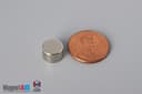 3/8" dia. x 1/4" N52 Neodymium Disc Magnet - photo 1