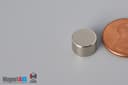 3/8" dia. x 1/4" N52 Neodymium Disc Magnet - photo 3